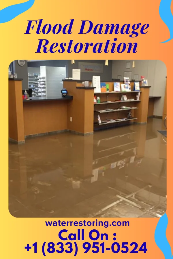 Flood Damage Restoration in Blythe, GA