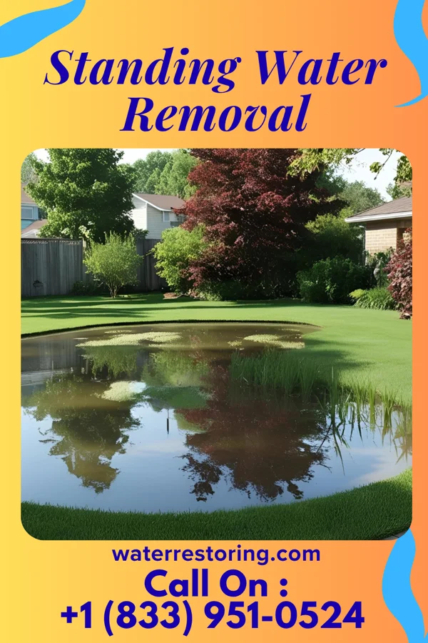 Standing Water Removal in Blythe, GA